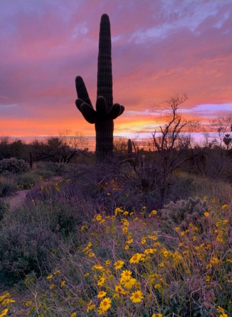 Ten Best Things to Do in Phoenix - Arizona Travel Guide