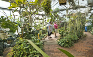 The Butterfly and Orchid Pavilion at Tucson Botanical Gardens